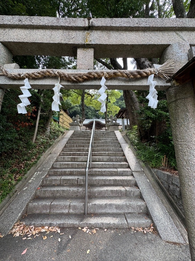 氏神様にお参りしました!