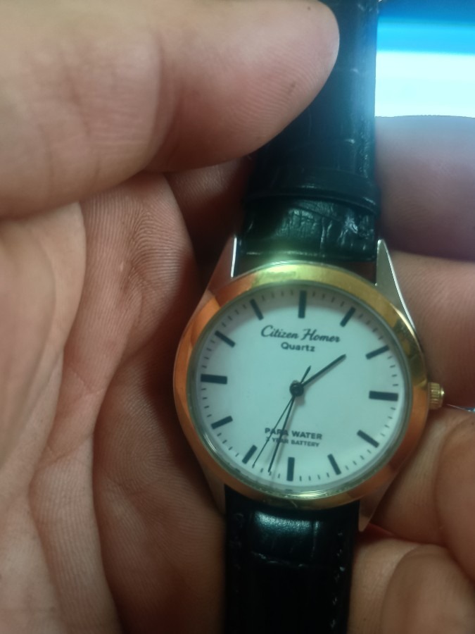 シチズンホーマー2025