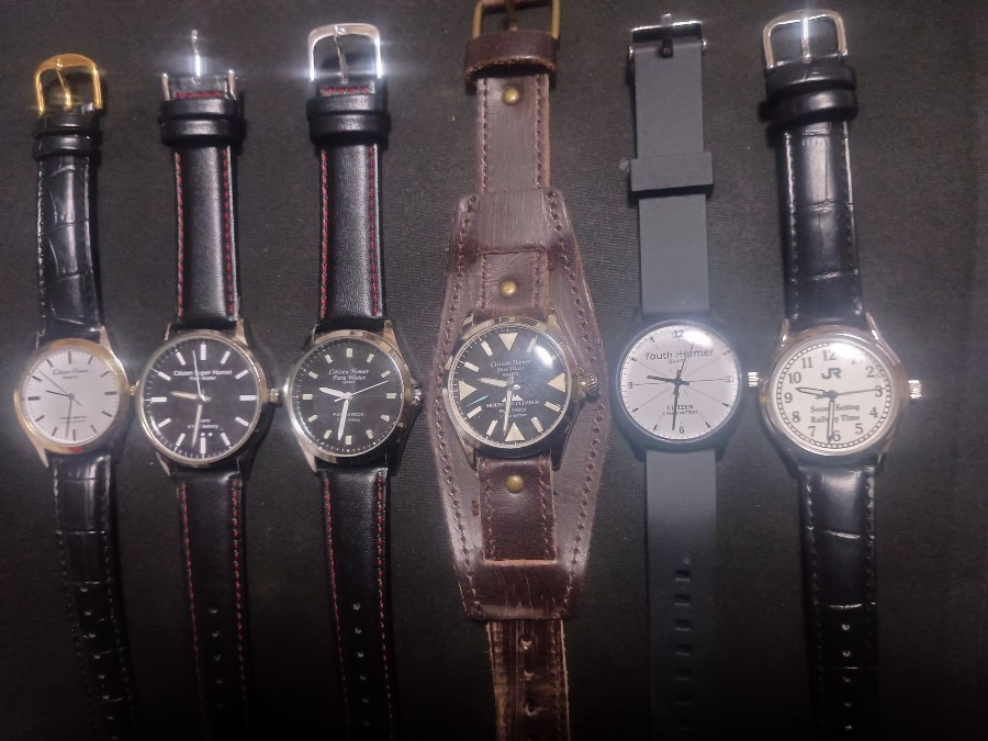 シチズンホーマースポーツ(スタンダード)