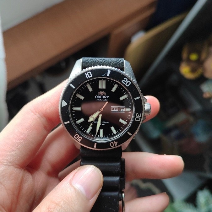 初投稿!オリエント