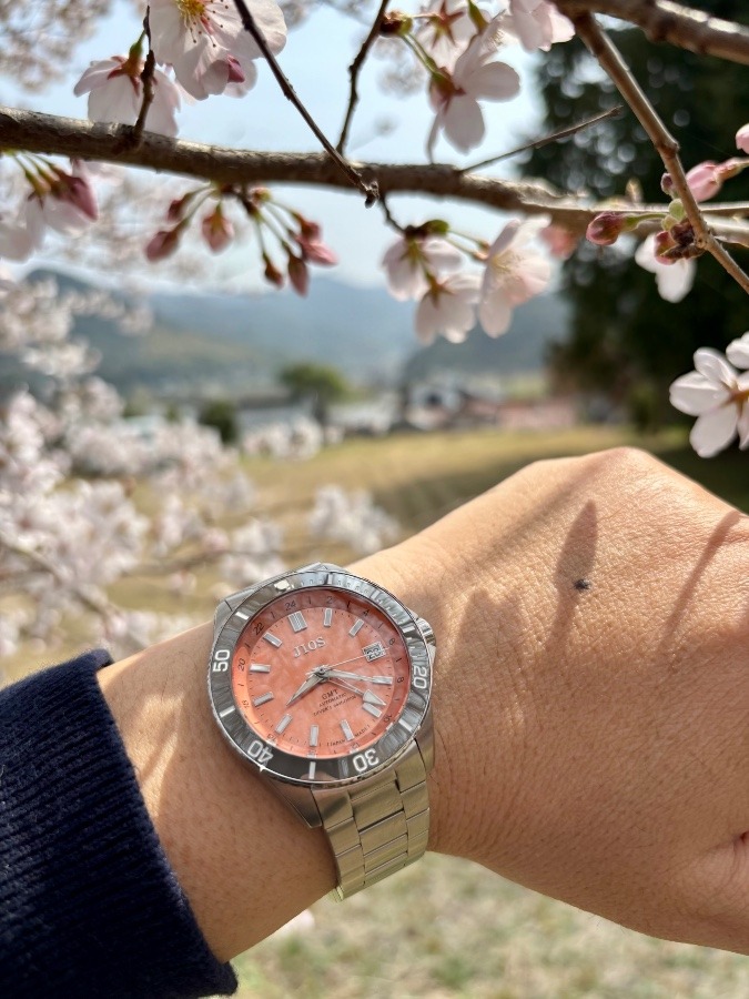 滋賀県大津市マイクロブランド　JIOS 【GMT DIVER’S 104】新色！